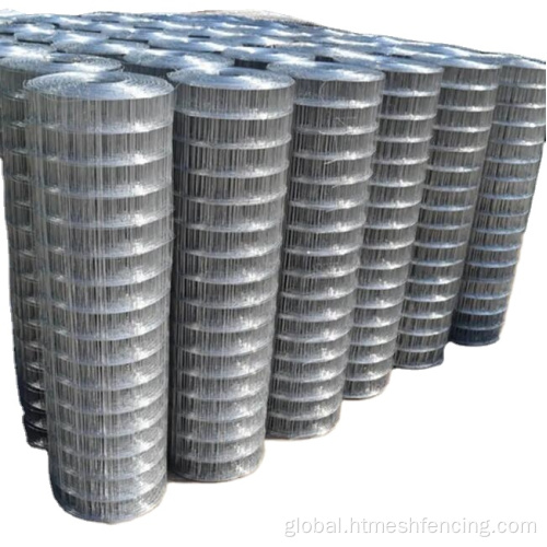China Protection Nets Hardware Cloth Welded Wire Mesh Rolls Supplier